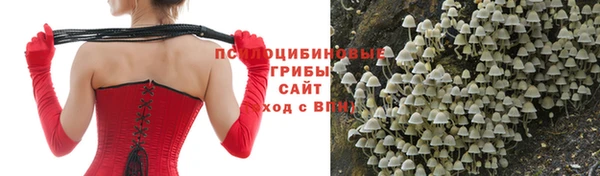 мяу мяу мука Аркадак