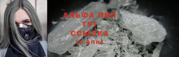 мяу мяу мука Аркадак